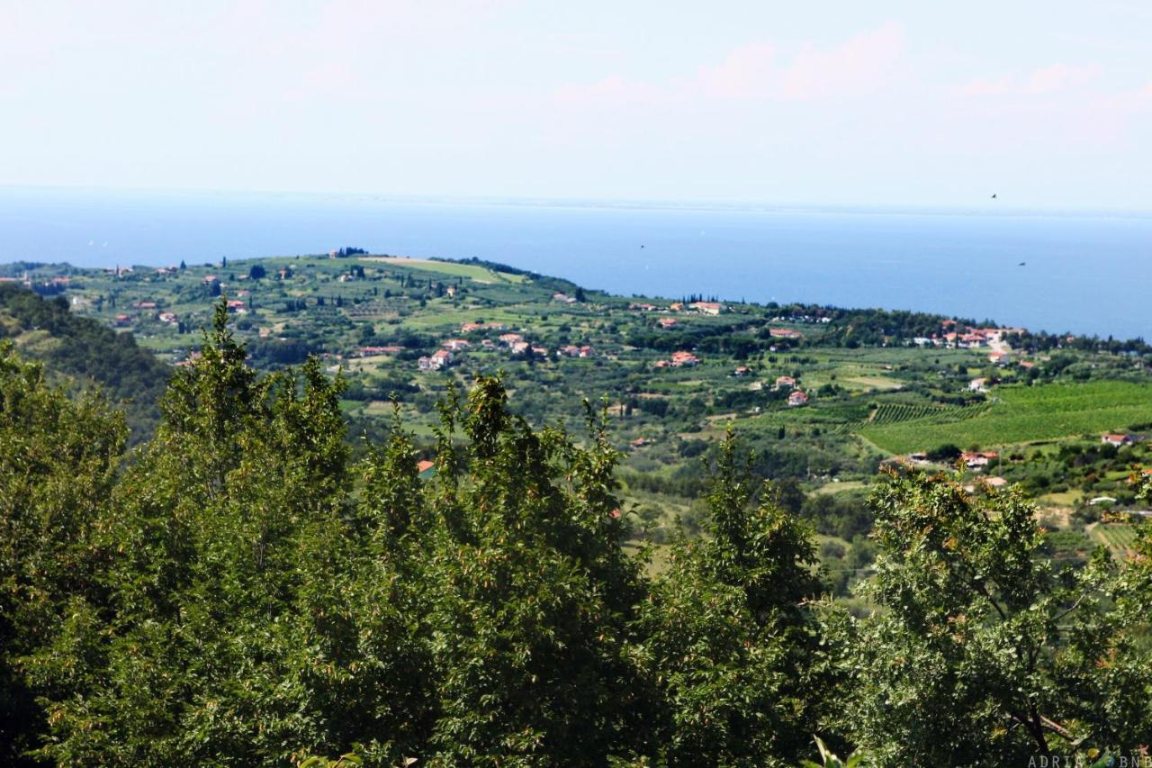 Garden Ville Izola Mira Exterior photo